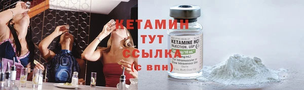 гидра Инта