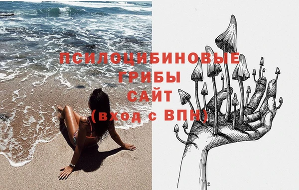 СК Алзамай