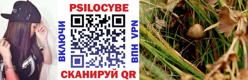 Псилоцибиновые грибы GOLDEN TEACHER  Цимлянск 
